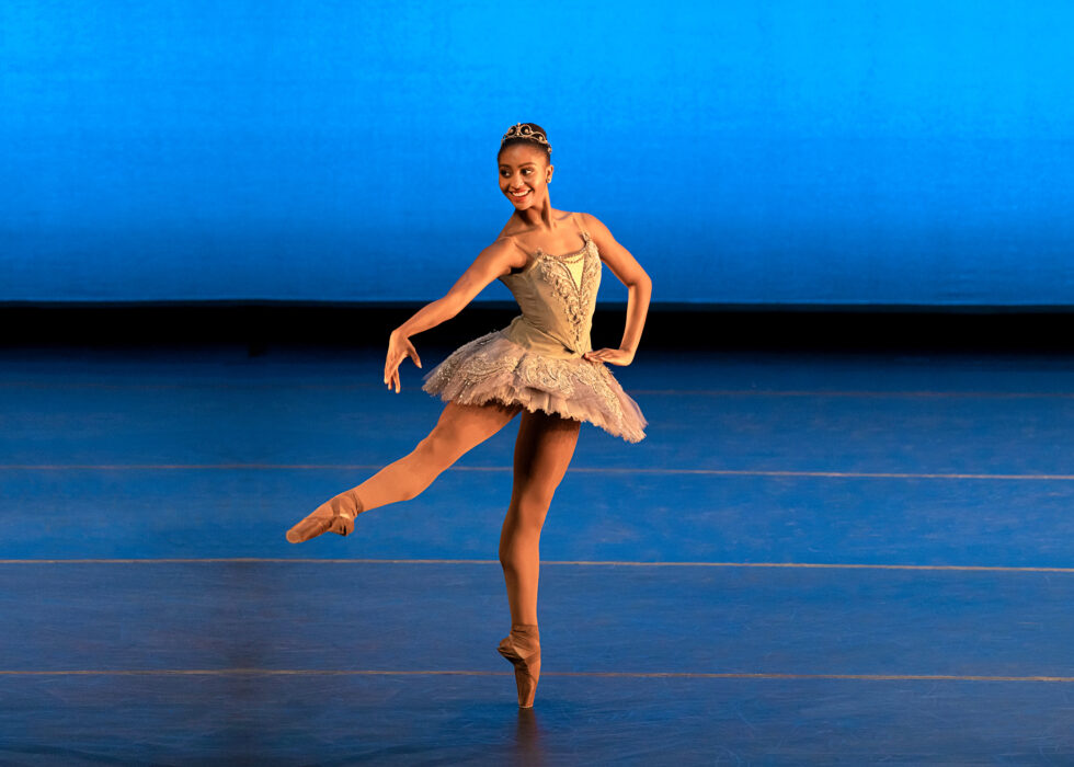 TWDYC Adult Ballet Tutu Dance Wear Women Ballet Bodysuit Ballrt Leotard  Clothing Floral Ballerina Clothes Gymnastics (Color : B, Size : XL Code) :  : Clothing, Shoes & Accessories