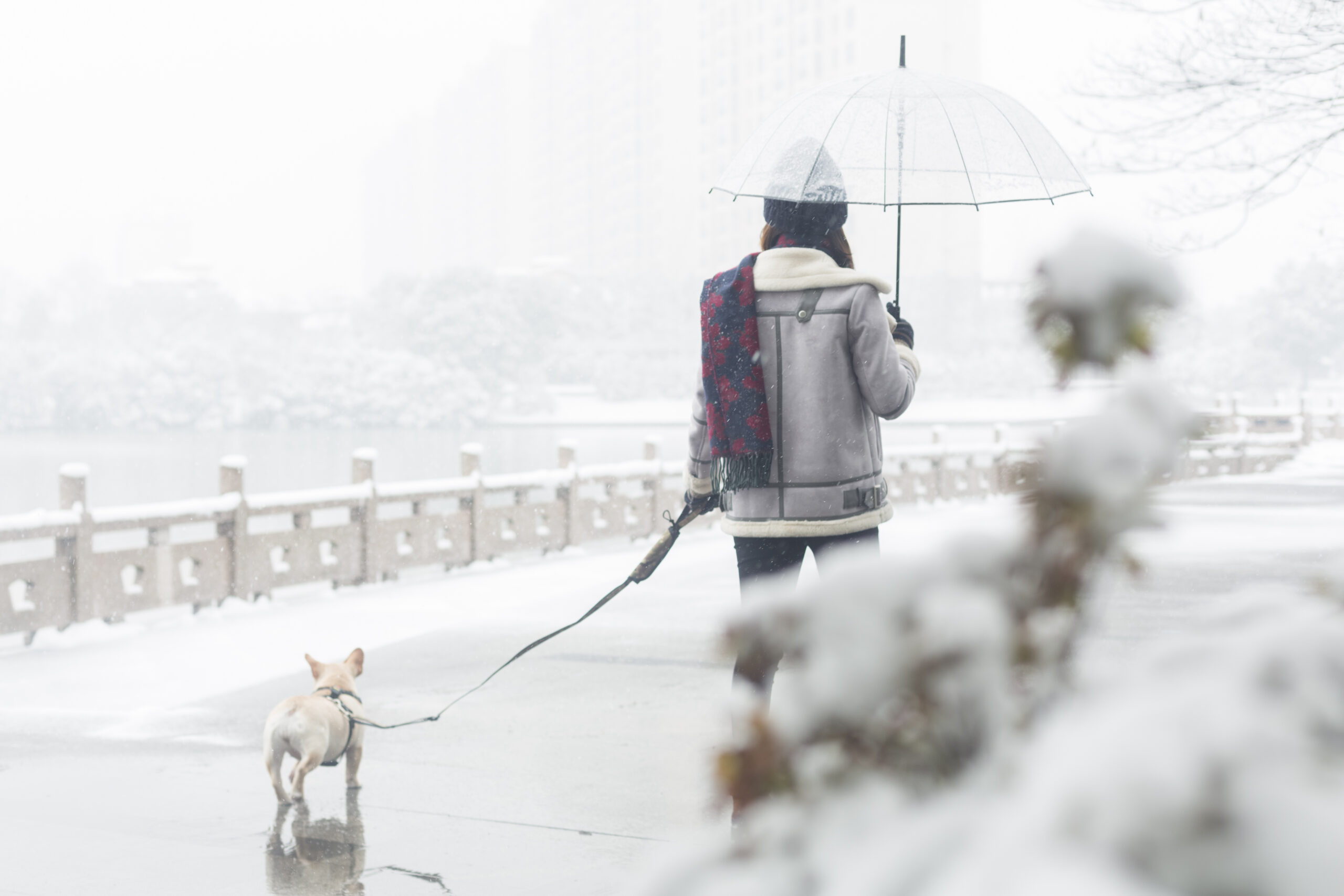 a woman walking her dog in the park carrying an umbrella